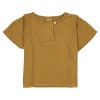 Tee-shirt "Orso" Honey