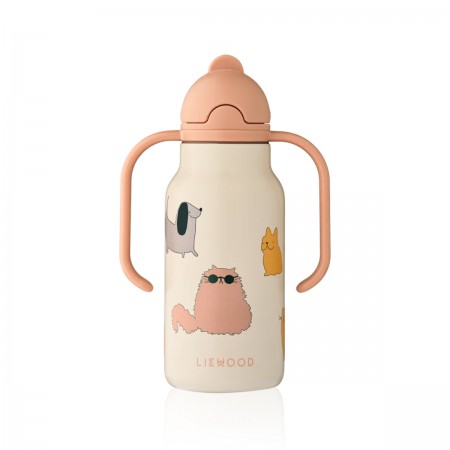 Gourde Isotherme 250 ml...