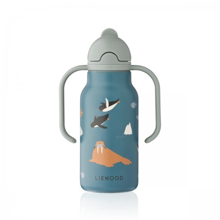 Gourde Isotherme 250 ml...