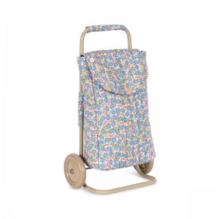 Chariot de course enfants...