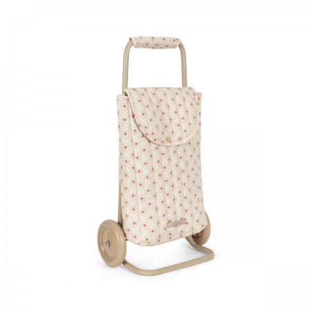 Chariot de course enfants...