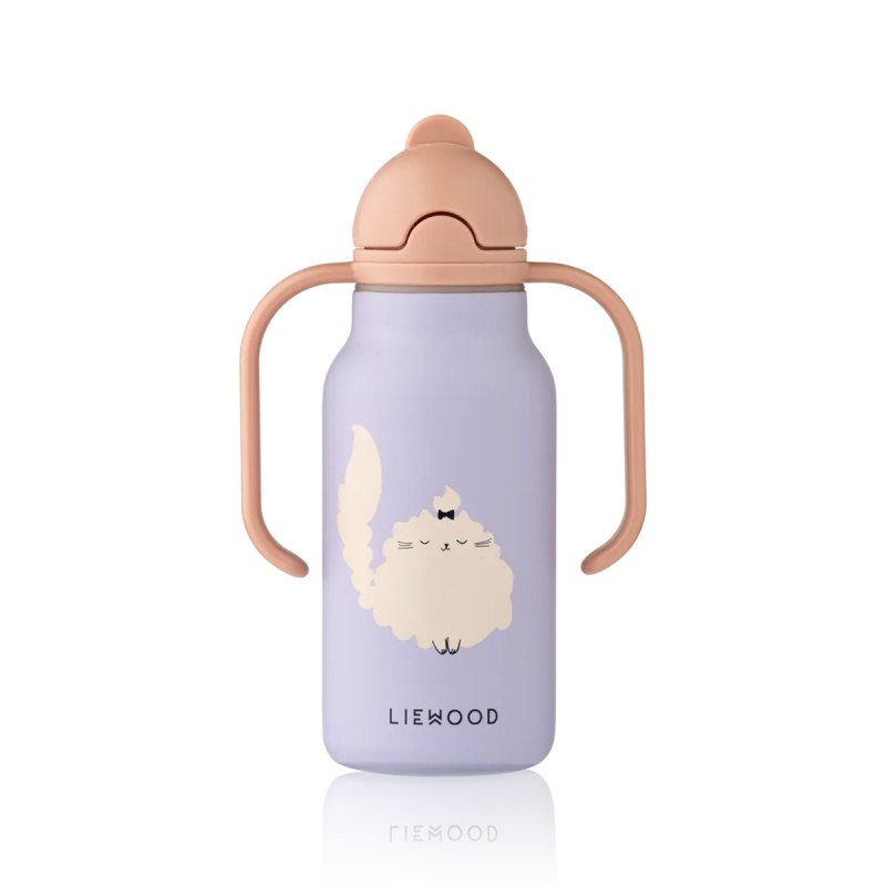Gourde Isotherme 250 ml...