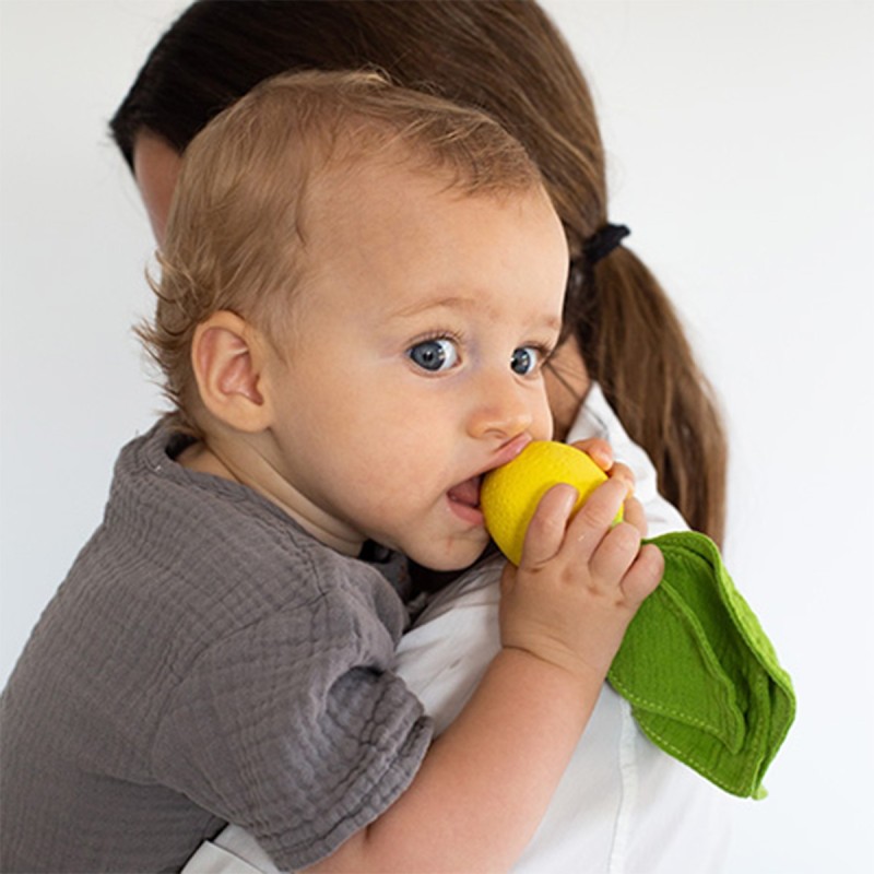 Mini doudou et jouet de dentition Citron Oli and Carol